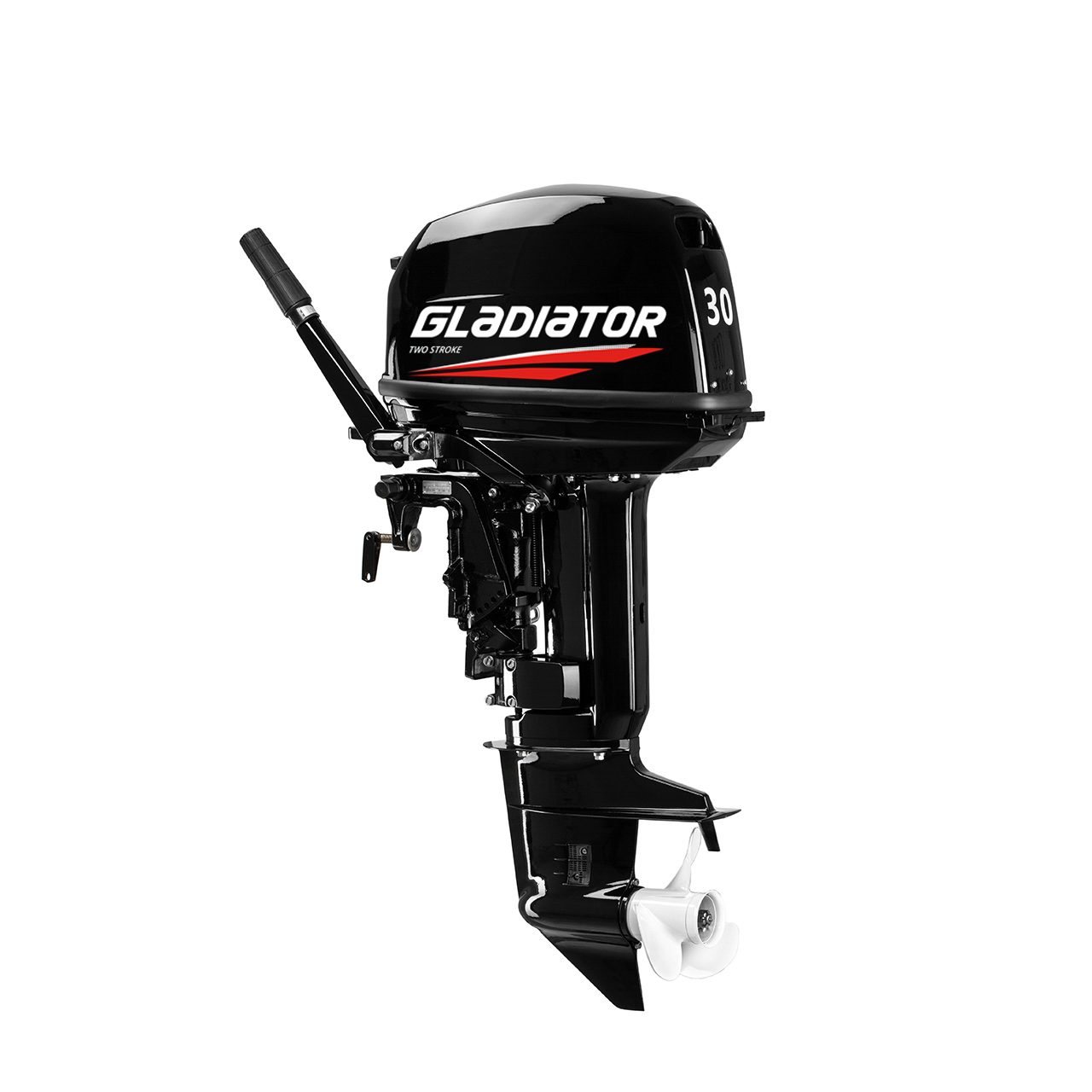 ЛОДОЧНЫЙ МОТОР GLADIATOR G30FHS в Ельце