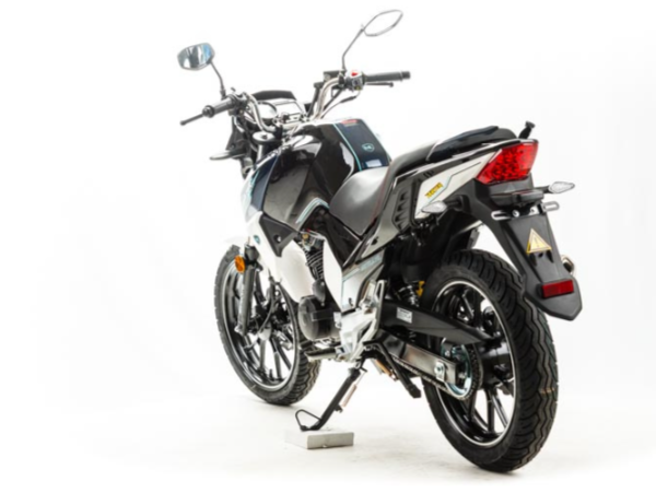 Мотоцикл MOTOLAND (МОТОЛЕНД) FIGHTER 250 в Ельце