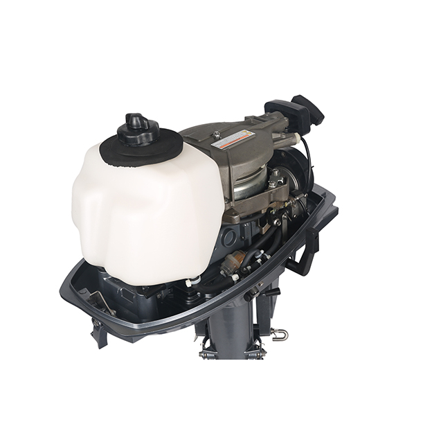 ЛОДОЧНЫЙ МОТОР ALLFA CG T5 в Ельце