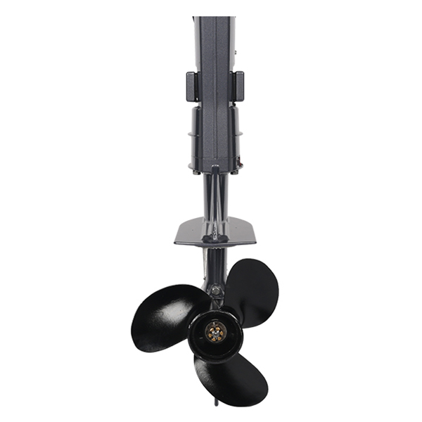 ЛОДОЧНЫЙ МОТОР ALLFA CG T5 в Ельце