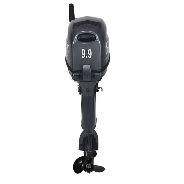 Лодочный мотор ALLFA CG Т9.9(20)MAX в Ельце