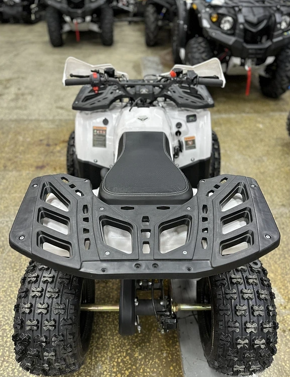 Квадроцикл PROMAX WILD 2.0 190 в Ельце