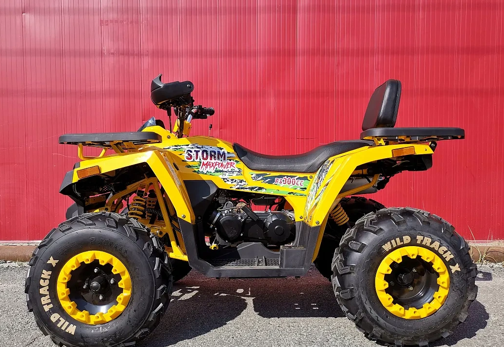 Квадроцикл PROMAX STORM 280 LUX в Ельце