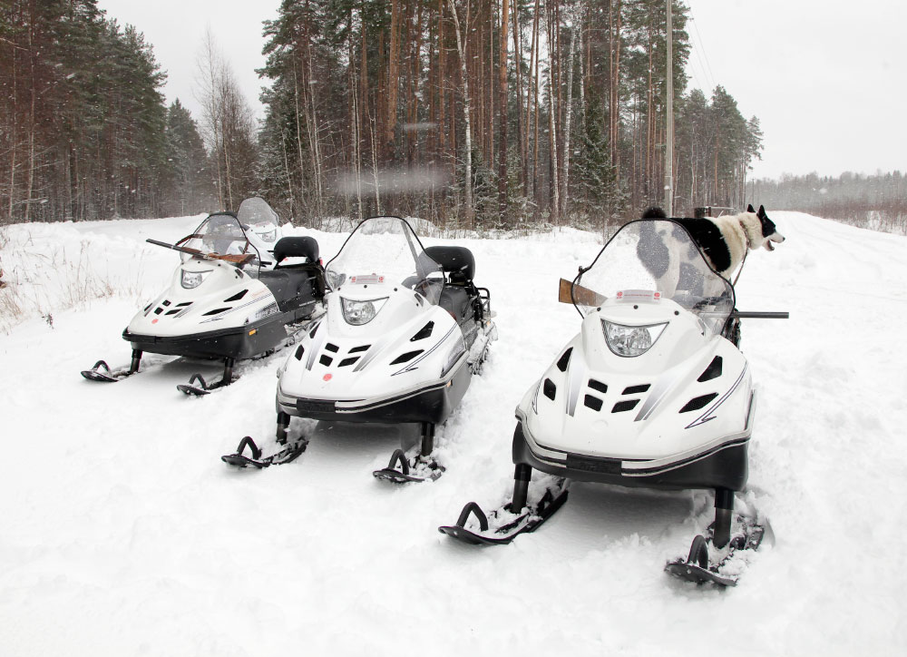 Снегоход Русская механика РМ ТАЙГА ВАРЯГ 550 V в Ельце