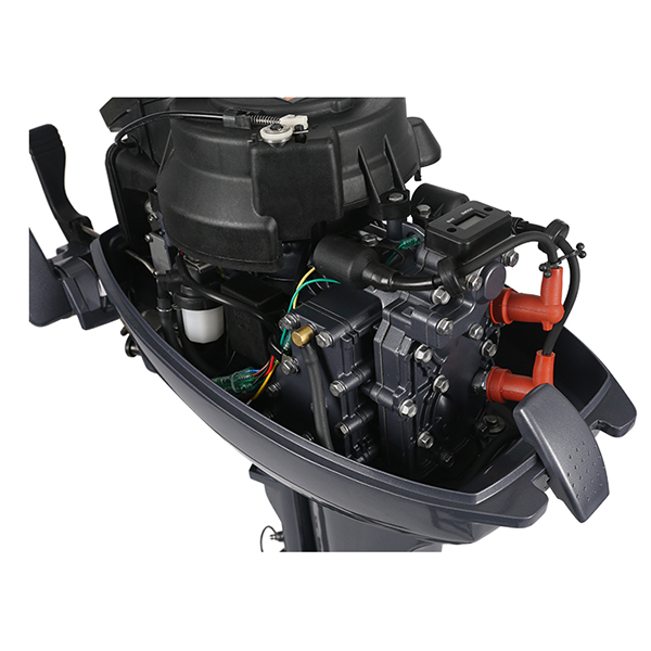 ЛОДОЧНЫЙ МОТОР ALLFA CG Т9,9 в Ельце