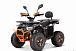 Квадроцикл YACOTA SIRIUS 2000W в Ельце