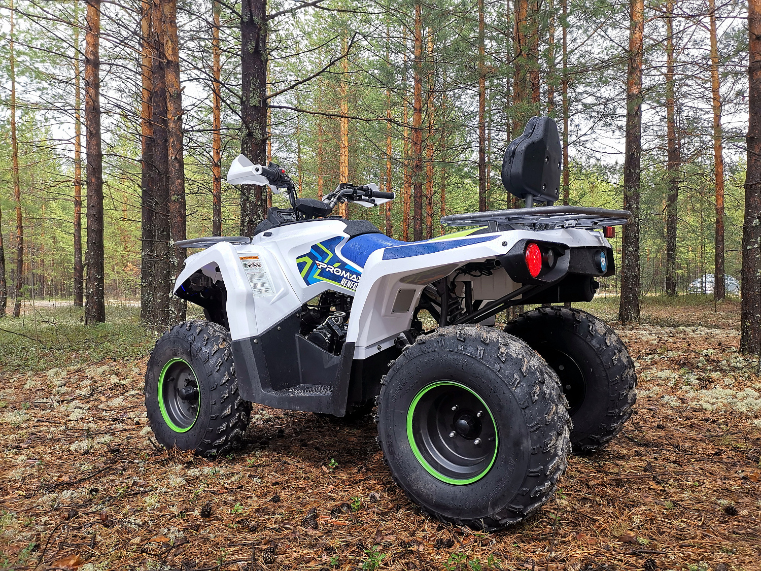 Квадроцикл PROMAX RENEGADE 280 (2025) в Ельце
