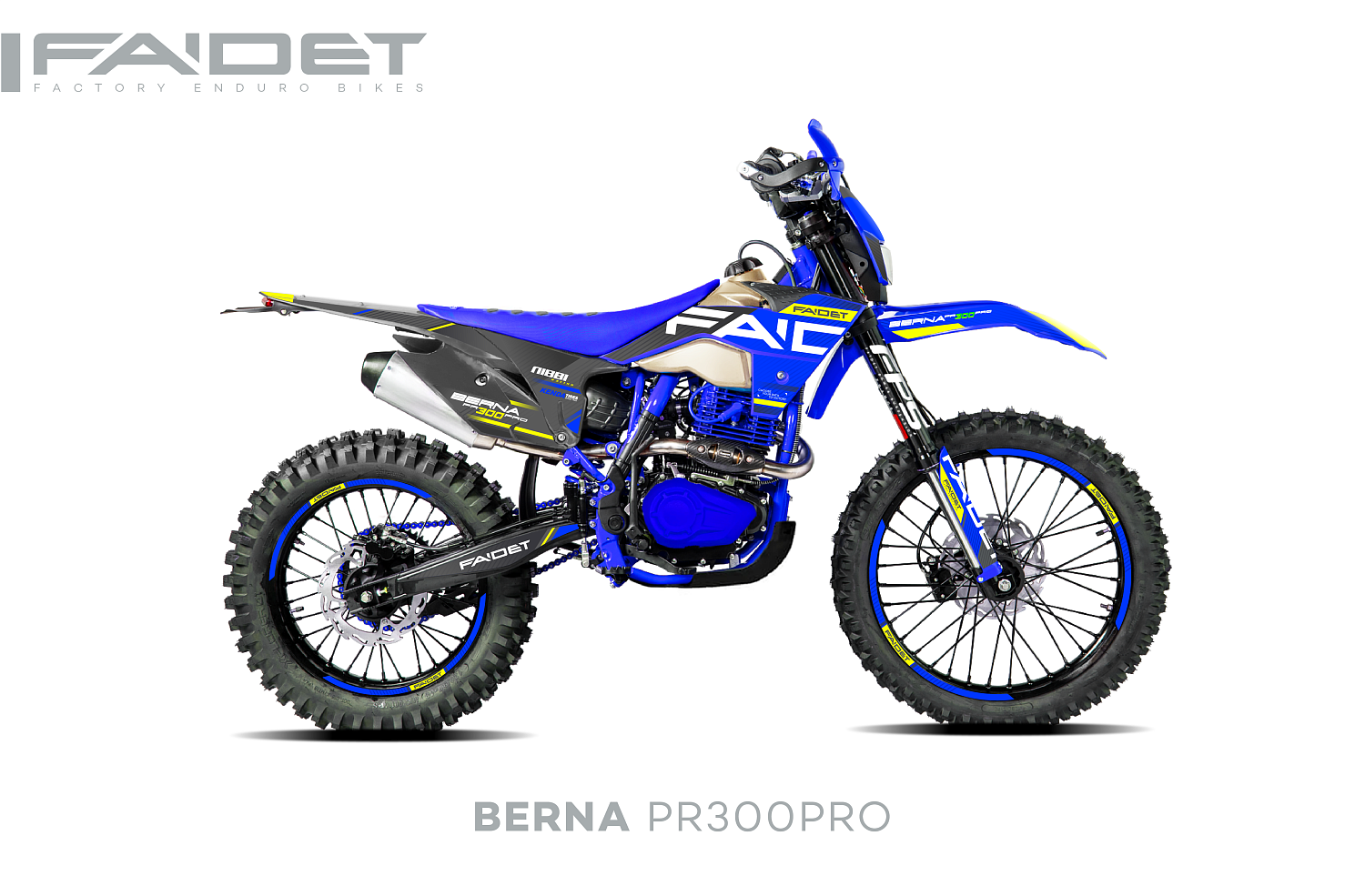 Кроссовый мотоцикл FAIDET BERNA PR300-PRO FPS в Ельце