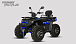 Квадроцикл PROMAX TAURUS 300 MAX-PRO LONG в Ельце
