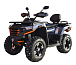 Квадроцикл MOTOLAND (МОТОЛЕНД) 300 MAX X в Ельце