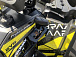 Квадроцикл PROMAX TAURUS 300 MAX-PRO в Ельце