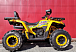 Квадроцикл PROMAX STORM 280 LUX в Ельце