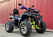  Квадроцикл PROMAX ATV 250 MAX (2025) в Ельце