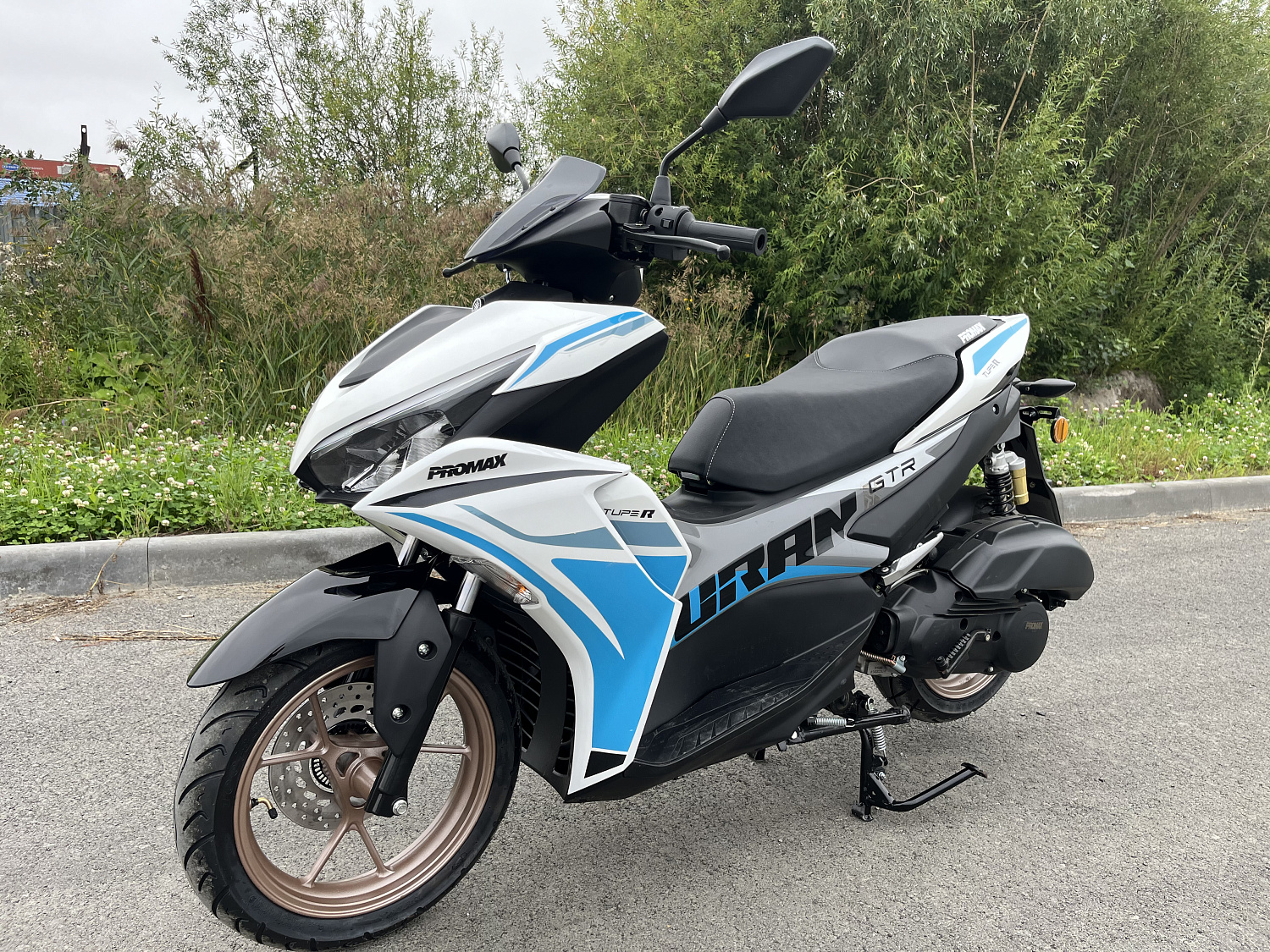 Скутер PROMAX TURAN 250 (49) в Ельце