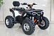 Квадроцикл GBM STORMRIDER 320 PREMIUM в Ельце