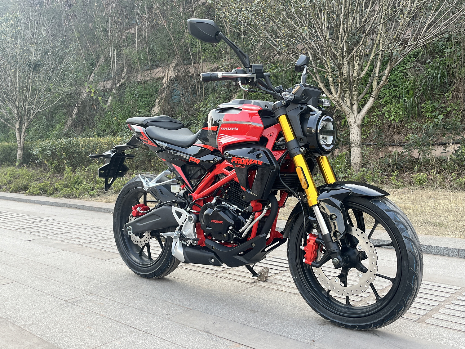 Мотоцикл PROMAX CB300 в Ельце