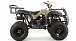 Квадроцикл MOTOLAND (МОТОЛЕНД) 200 ALL ROAD в Ельце