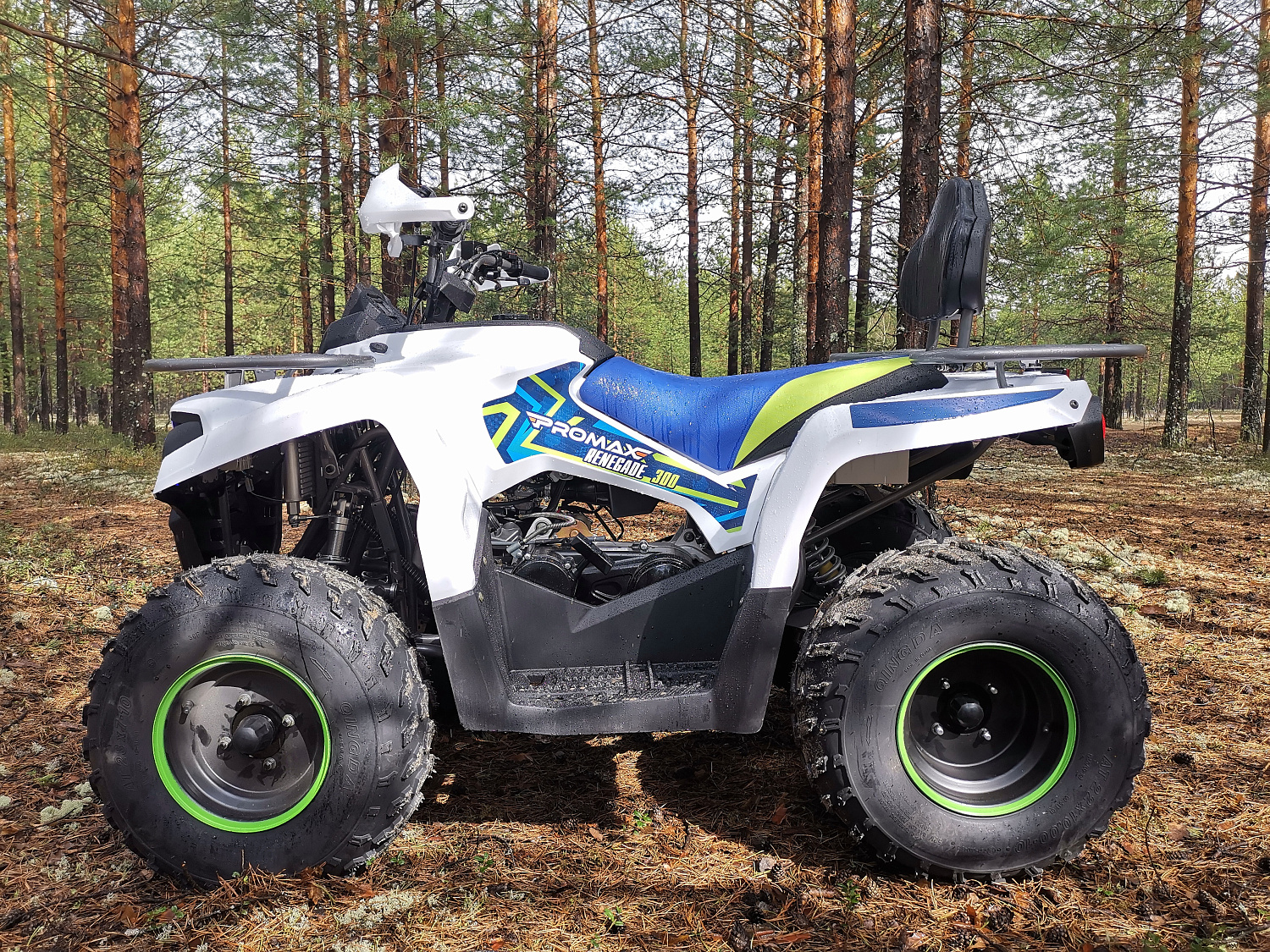 Квадроцикл PROMAX RENEGADE 280 (2025) в Ельце