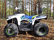 Квадроцикл PROMAX RENEGADE 280 (2025) в Ельце