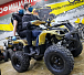 Квадроцикл PROMAX ATV 250 (2025) в Ельце