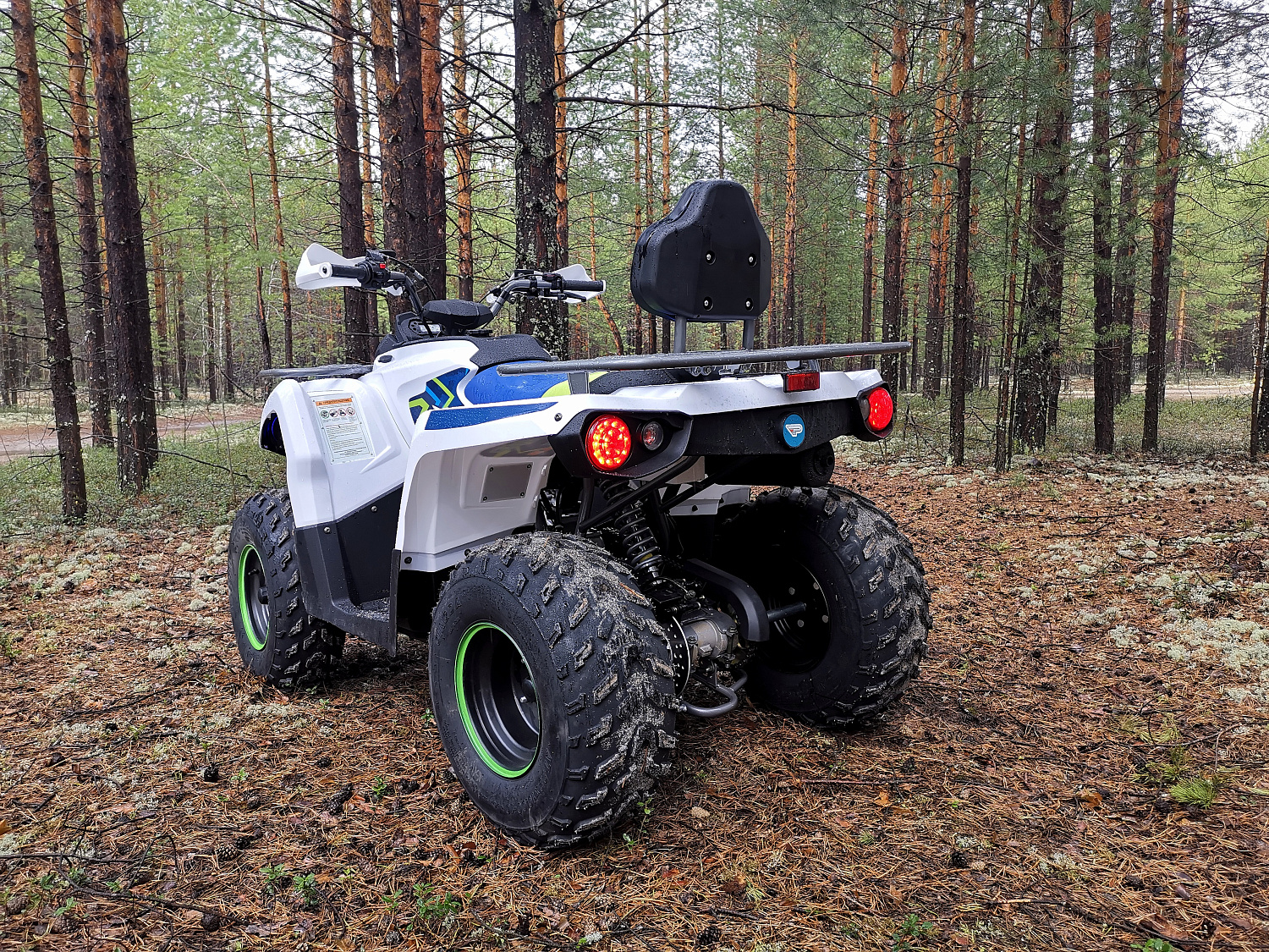 Квадроцикл PROMAX RENEGADE 280 (2025) в Ельце