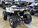 Квадроцикл PROMAX WILD 2.0 190 LUX в Ельце
