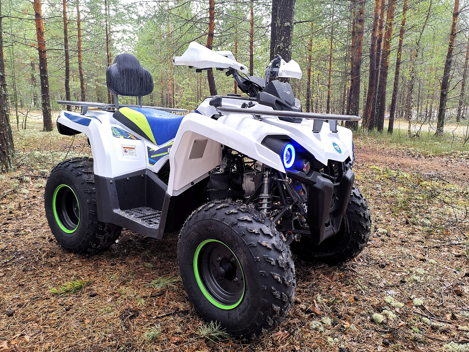 Квадроцикл PROMAX RENEGADE 280 (2025) в Ельце