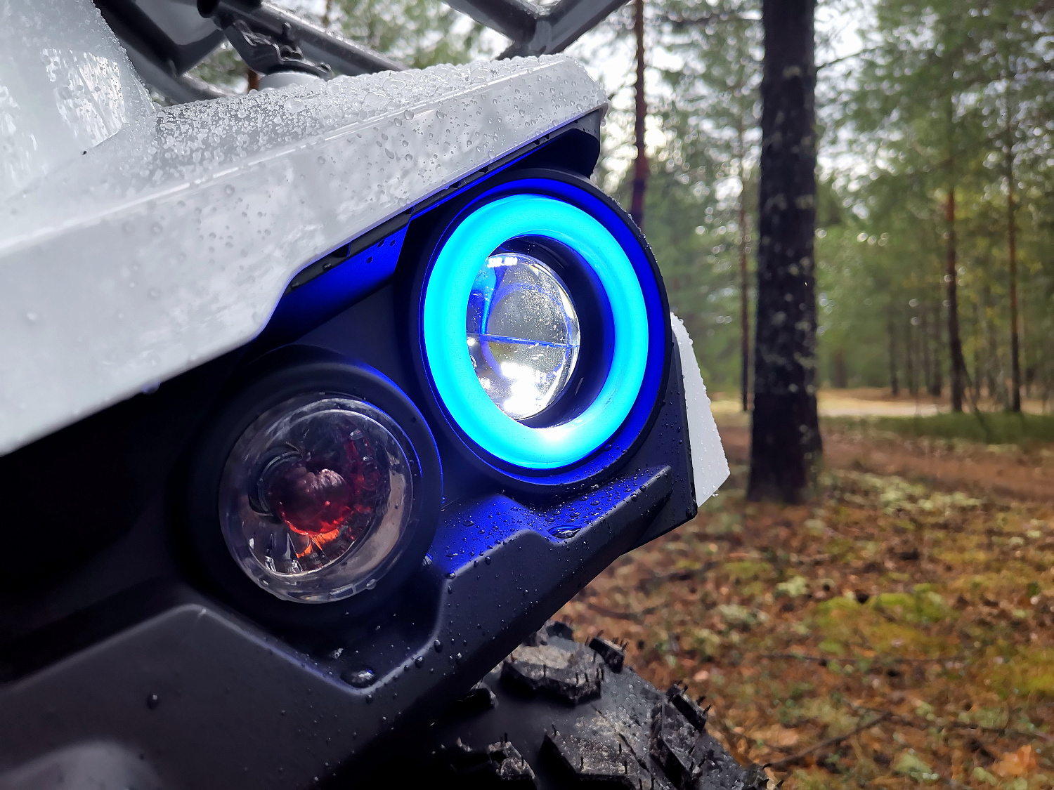 Квадроцикл PROMAX RENEGADE 280 (2025) в Ельце