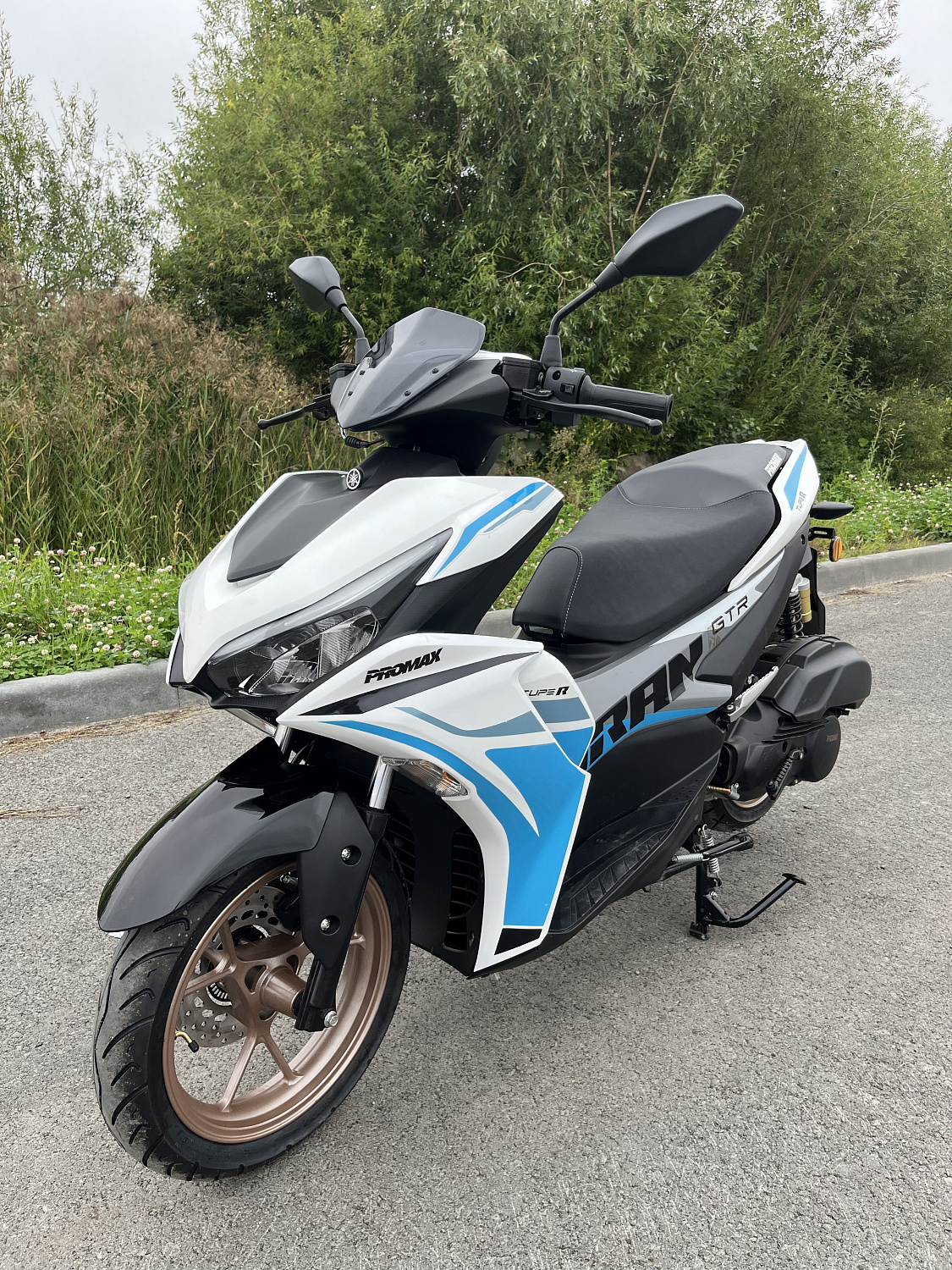 Скутер PROMAX TURAN 250 (49) в Ельце