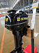 Лодочный мотор STELS 9.9HP в Ельце