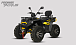 Квадроцикл PROMAX TAURUS 300 MAX-PRO LONG в Ельце